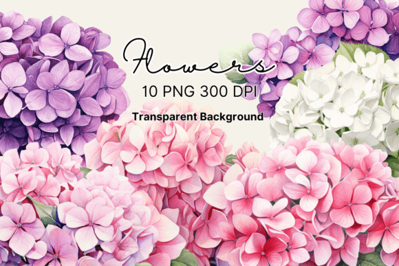 Download Watercolor Hydrangea Flowers Clipart - Flowers Collection